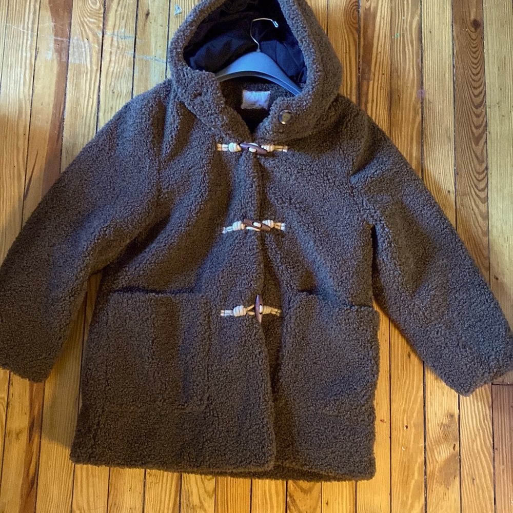Zara Teddy sherpa coat.